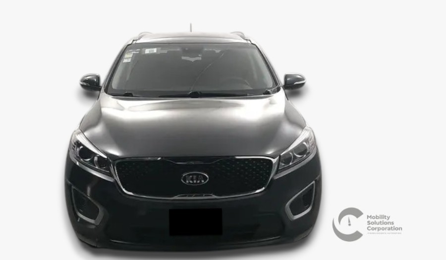 Auto 1